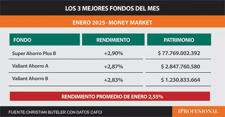 Los mejores FCI de enero.